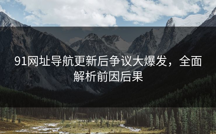 91网址导航更新后争议大爆发,全面解析前因后果 91网址导航更新后争议大爆发,全面解析前因后果